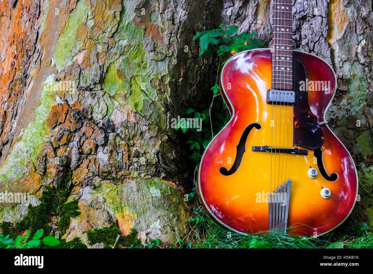 A red and yellow Hofner acoustic guitar leaning against  a tree trunk in a park Stock Photo