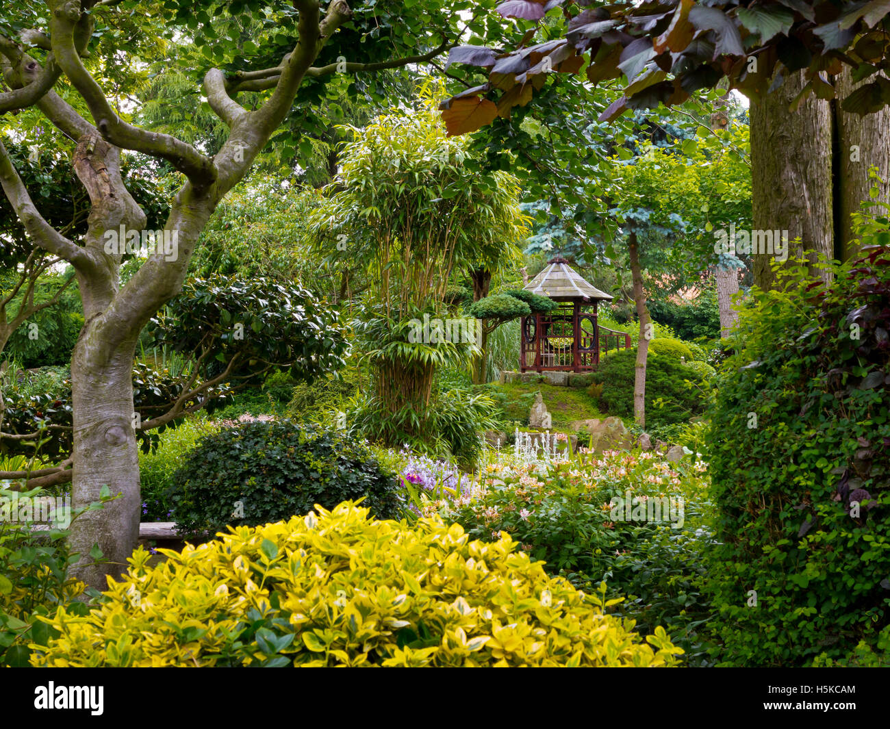 Pure Land Meditation Centre and Japanese Garden near Newark