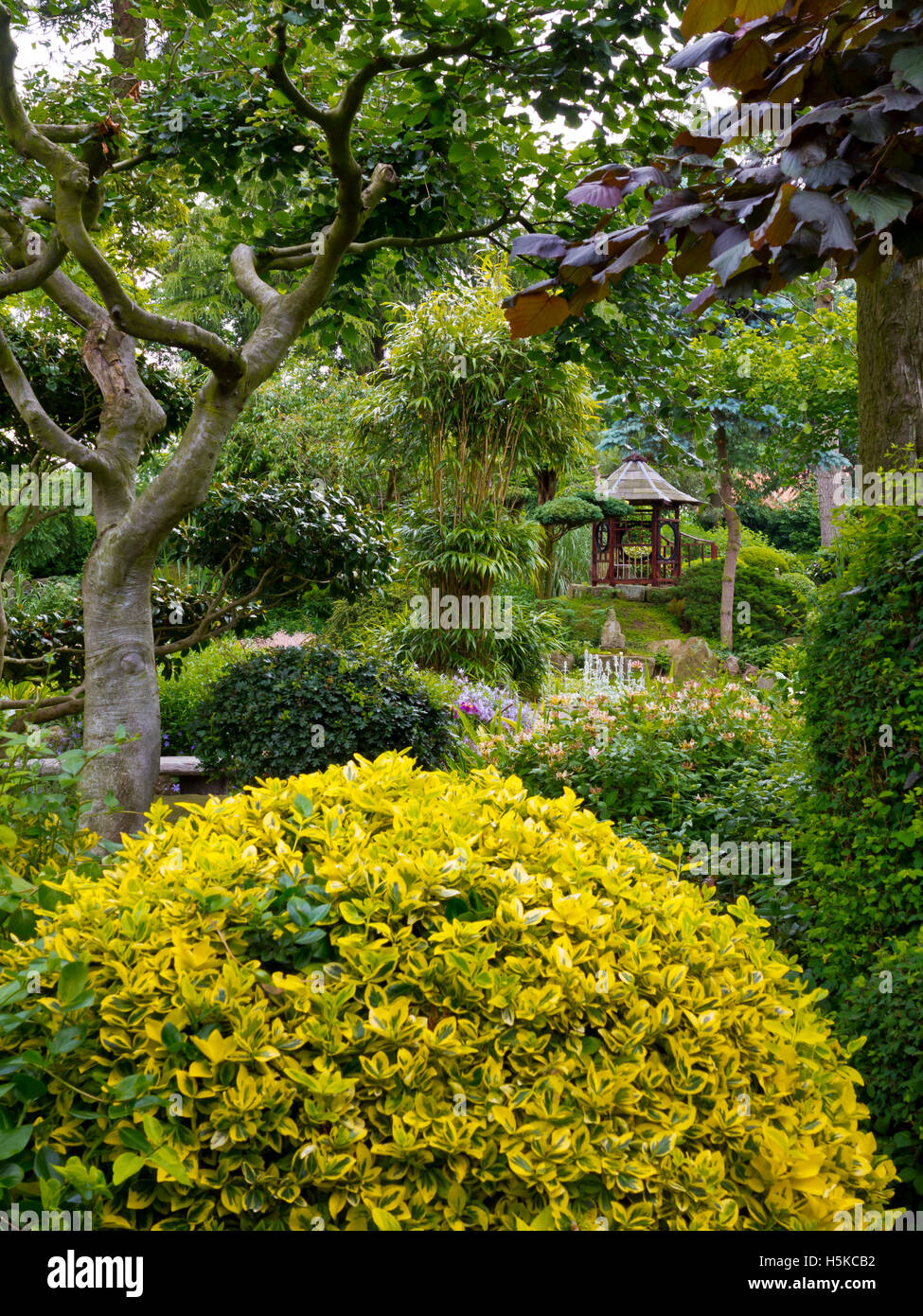Pure Land Meditation Centre and Japanese Garden near Newark