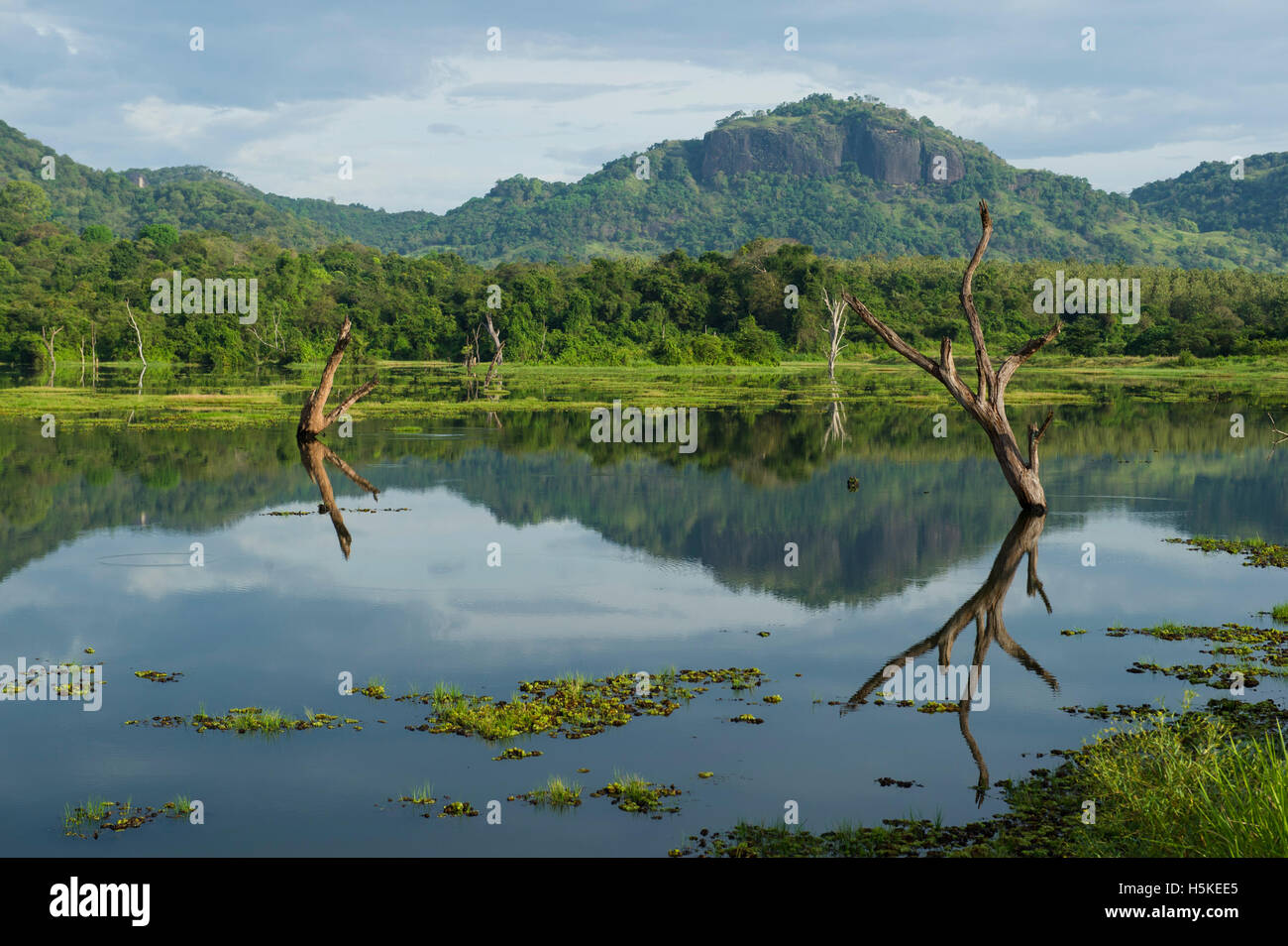 Lake in mountain scenery, Gal Oya National Park, Sri Lanka Stock Photo -  Alamy