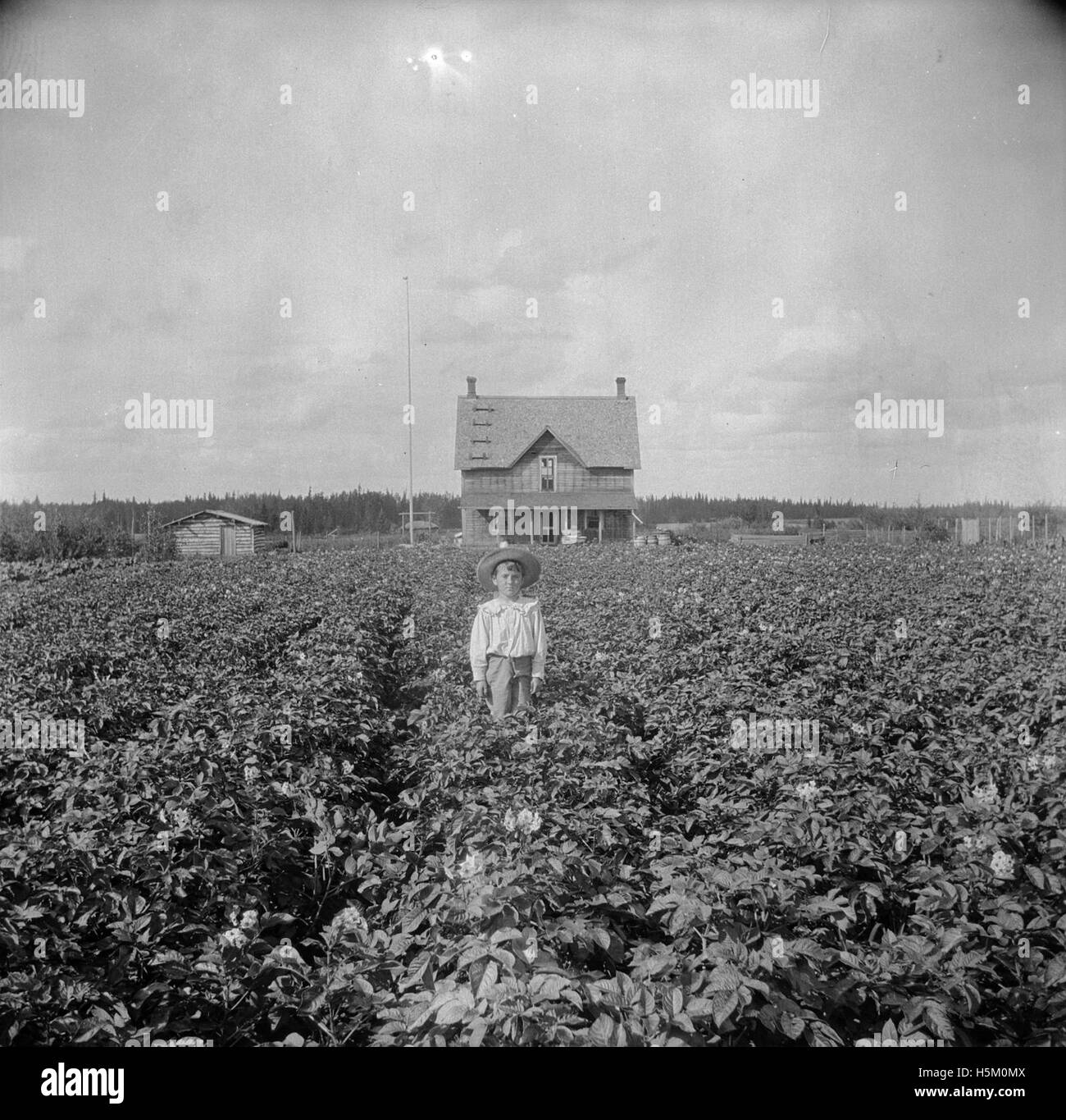 Homestead hires stock photography and images Alamy