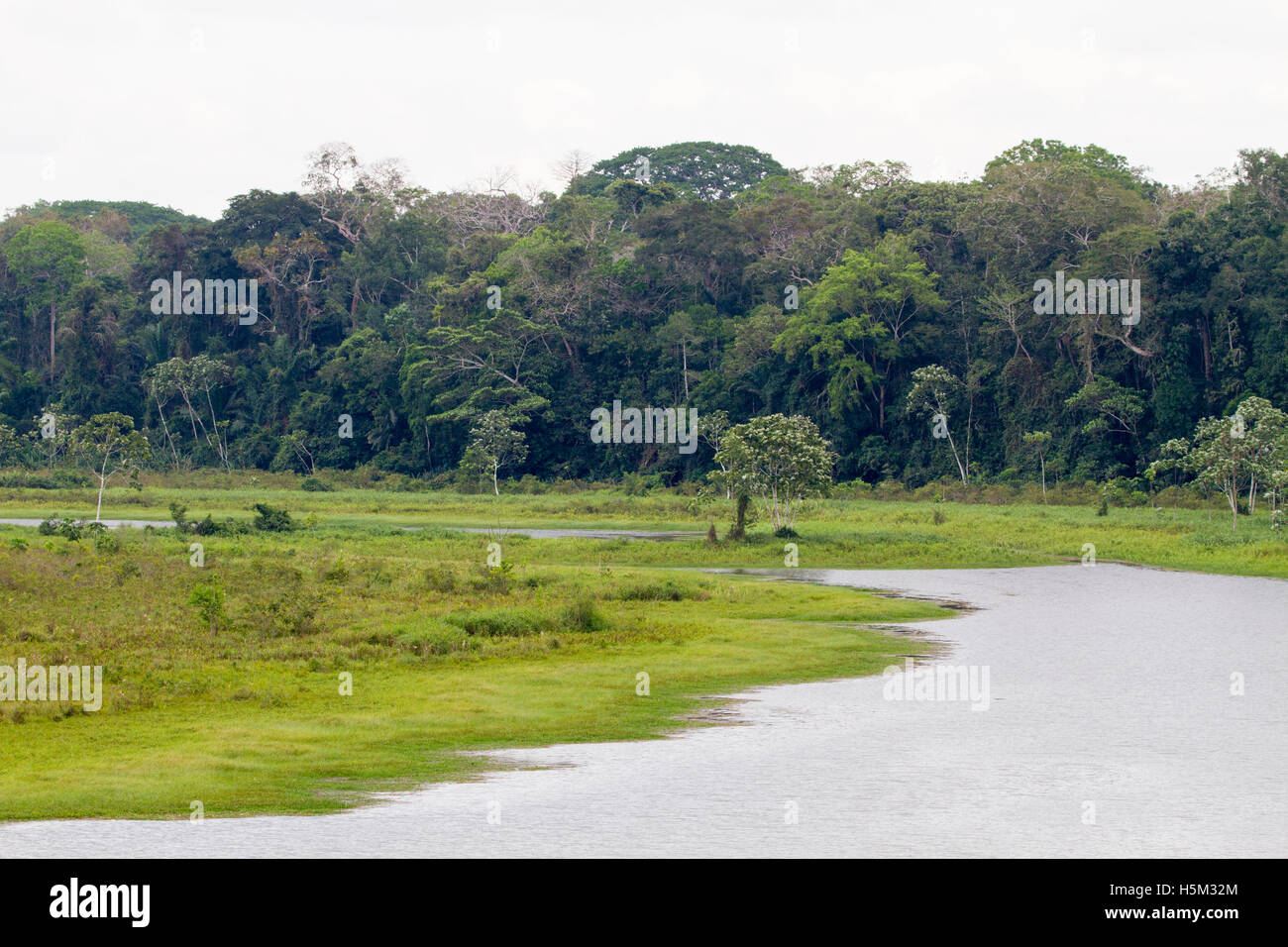 Oxbow lake in the Amazonian Rainforest, Peru Stock Photo