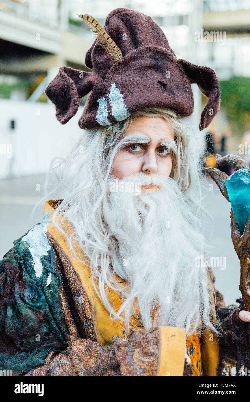 A cosplayer wears a Radagast the Brown costume (from The Lord of the Rings  universe) at Comic Con Copenhagen 2016 Stock Photo - Alamy