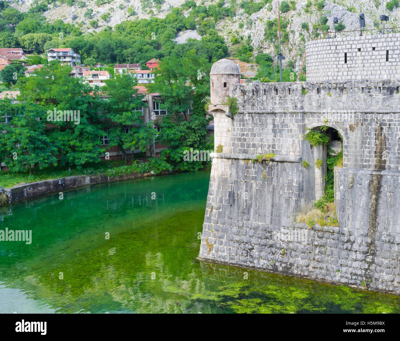 The huge ramparts of the old Venetian citadel  surrounded by moat, Kotor, Montenegro. Stock Photo