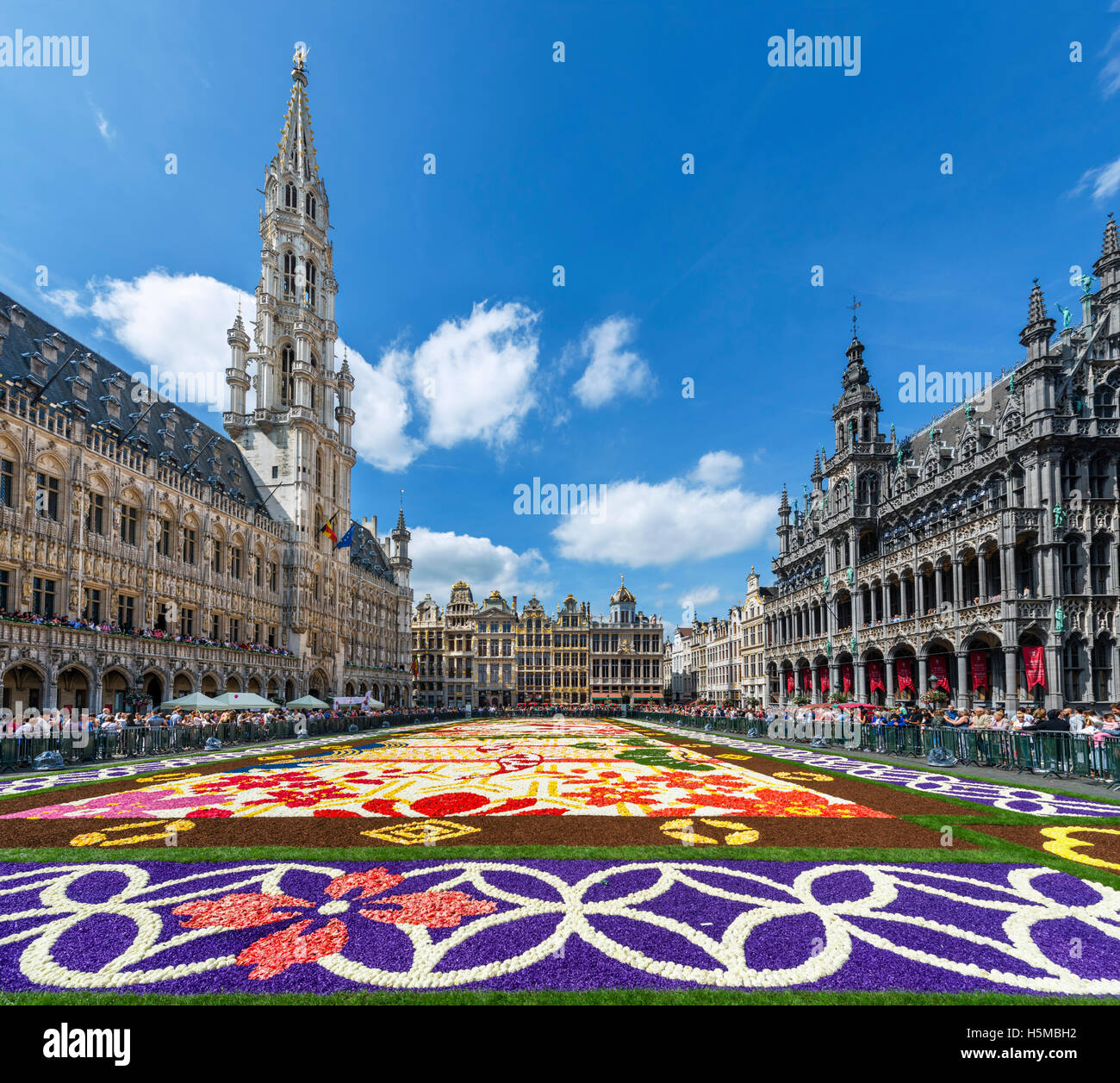 The 2016 Carpet of Flowers in the Grand Place (Grote Markt) with the Town Hall to the left, Brussels, Belgium. Stock Photo