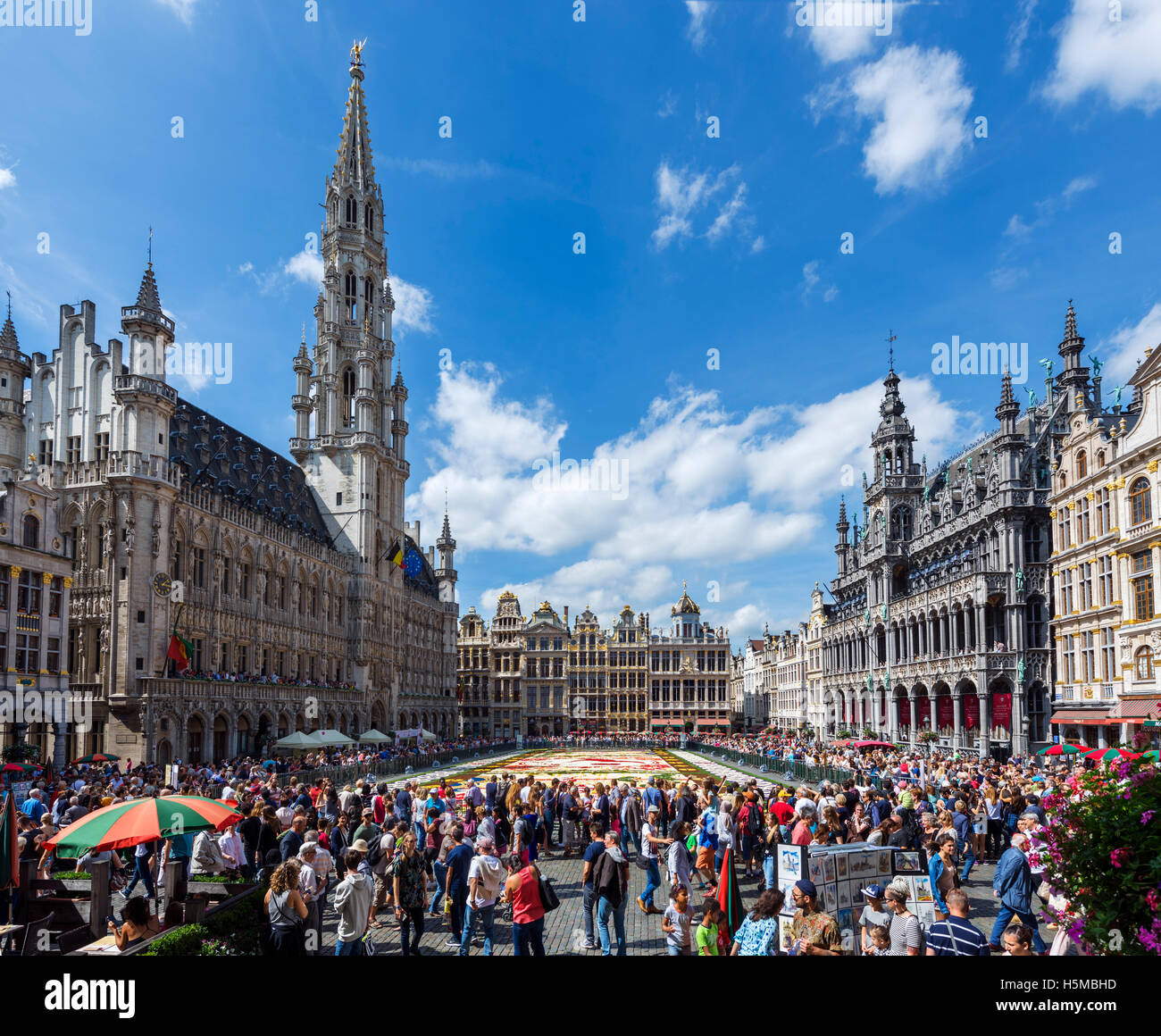 Brussels Grand Place. The 2016 Carpet of Flowers in the Grand Place (Grote Markt) with the Town Hall to the left, Brussels, Belgium. Stock Photo