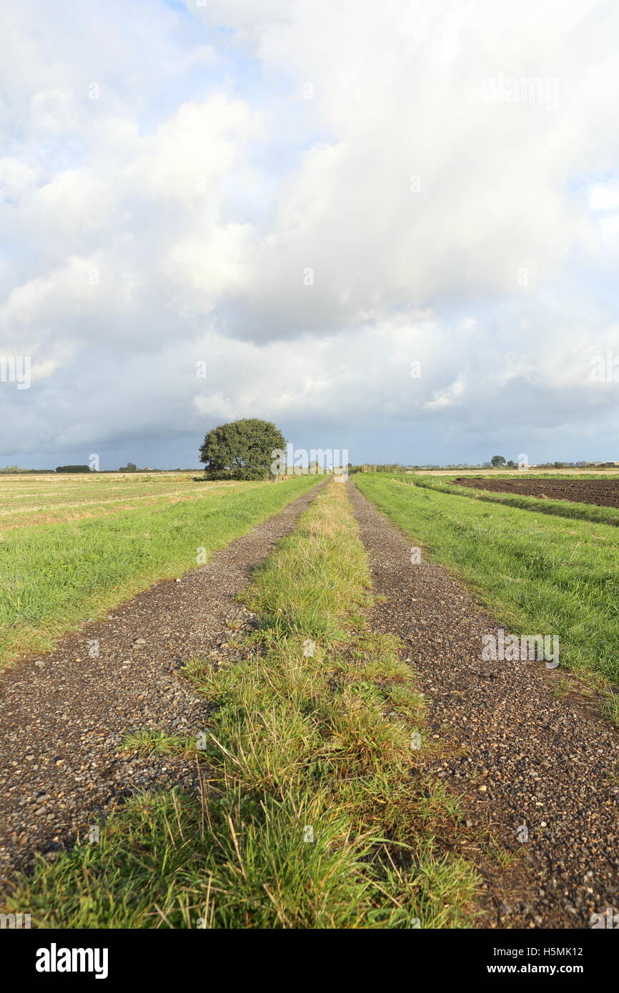 Lincolnshire fens hires stock photography and images Alamy