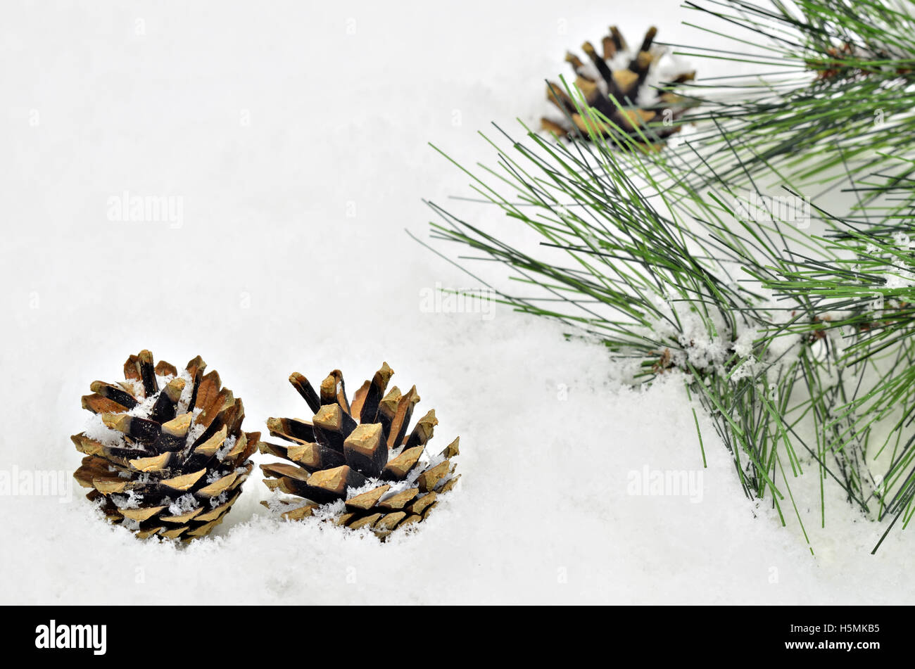 three pine cones and fir sprig on snow background, close up, space for text, horizontal Stock Photo