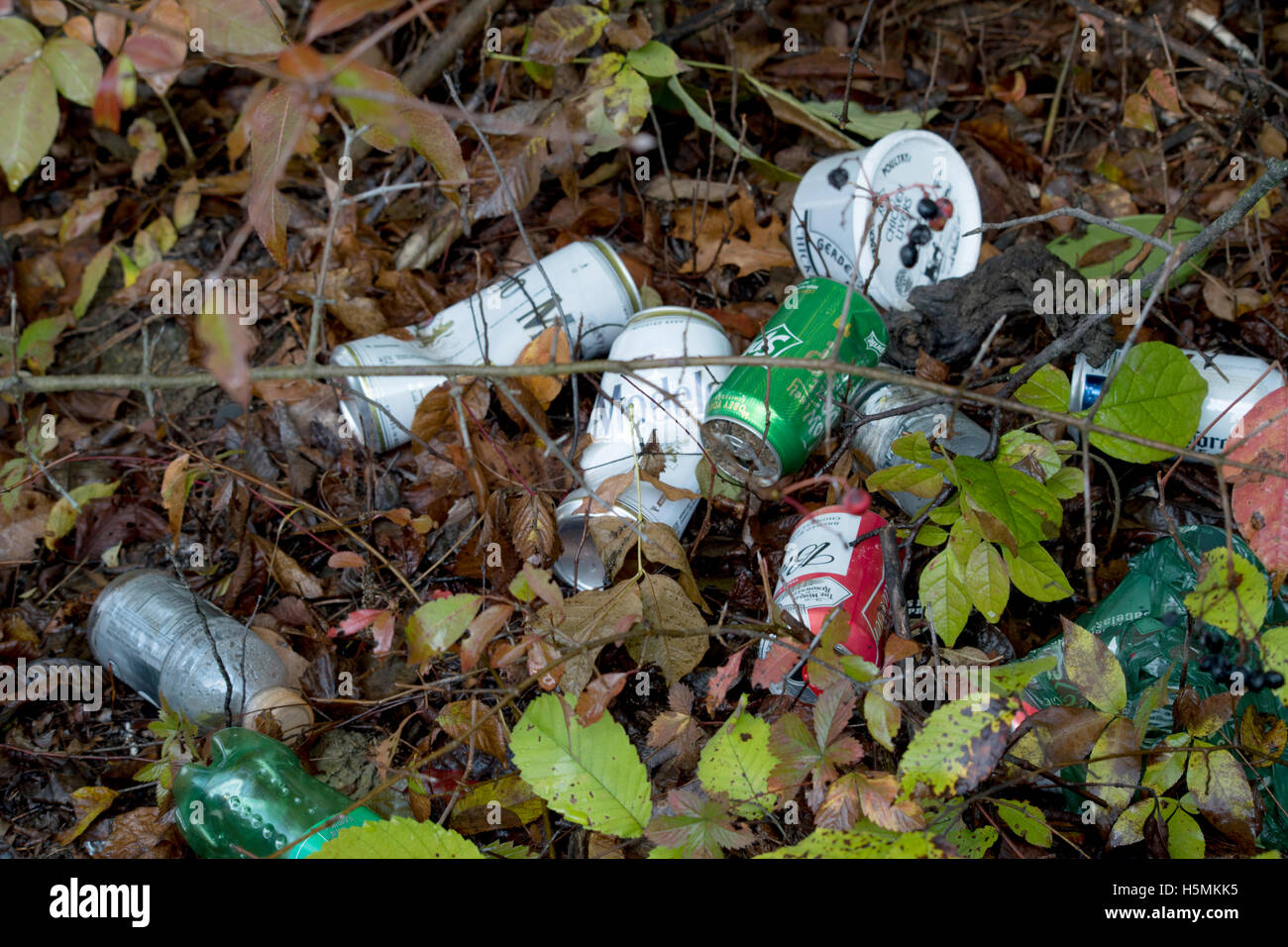 Park and litter hires stock photography and images Alamy