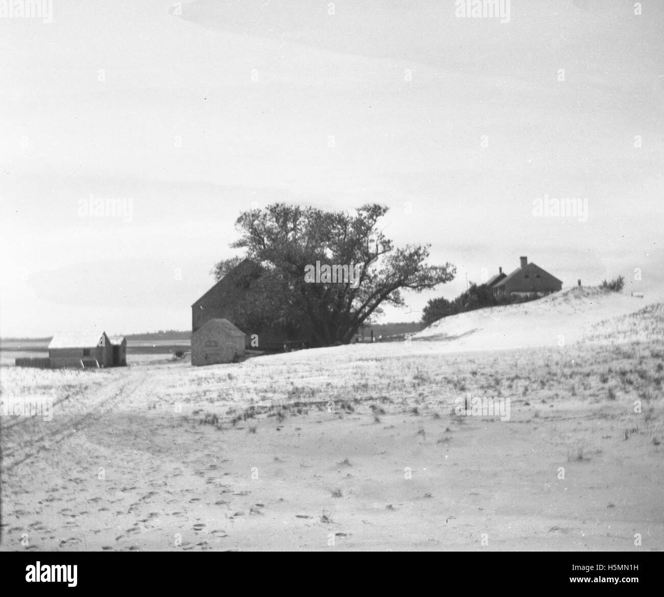 A historical photograph of the dunes at Ipswich Beach taken on May 30, 1900, capturing the natural landscape and coastal environment of this Queensland location. Stock Photo