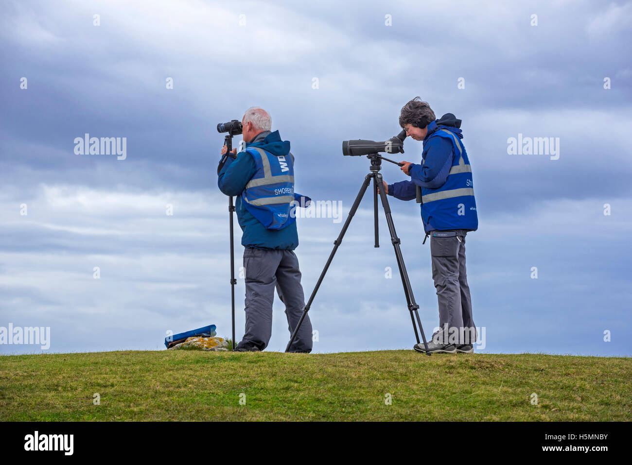 Whale and dolphin watchers looking for marine wildlife at Stoer Head / Stoerhead, Sutherland, Scottish Highlands, Scotland Stock Photo