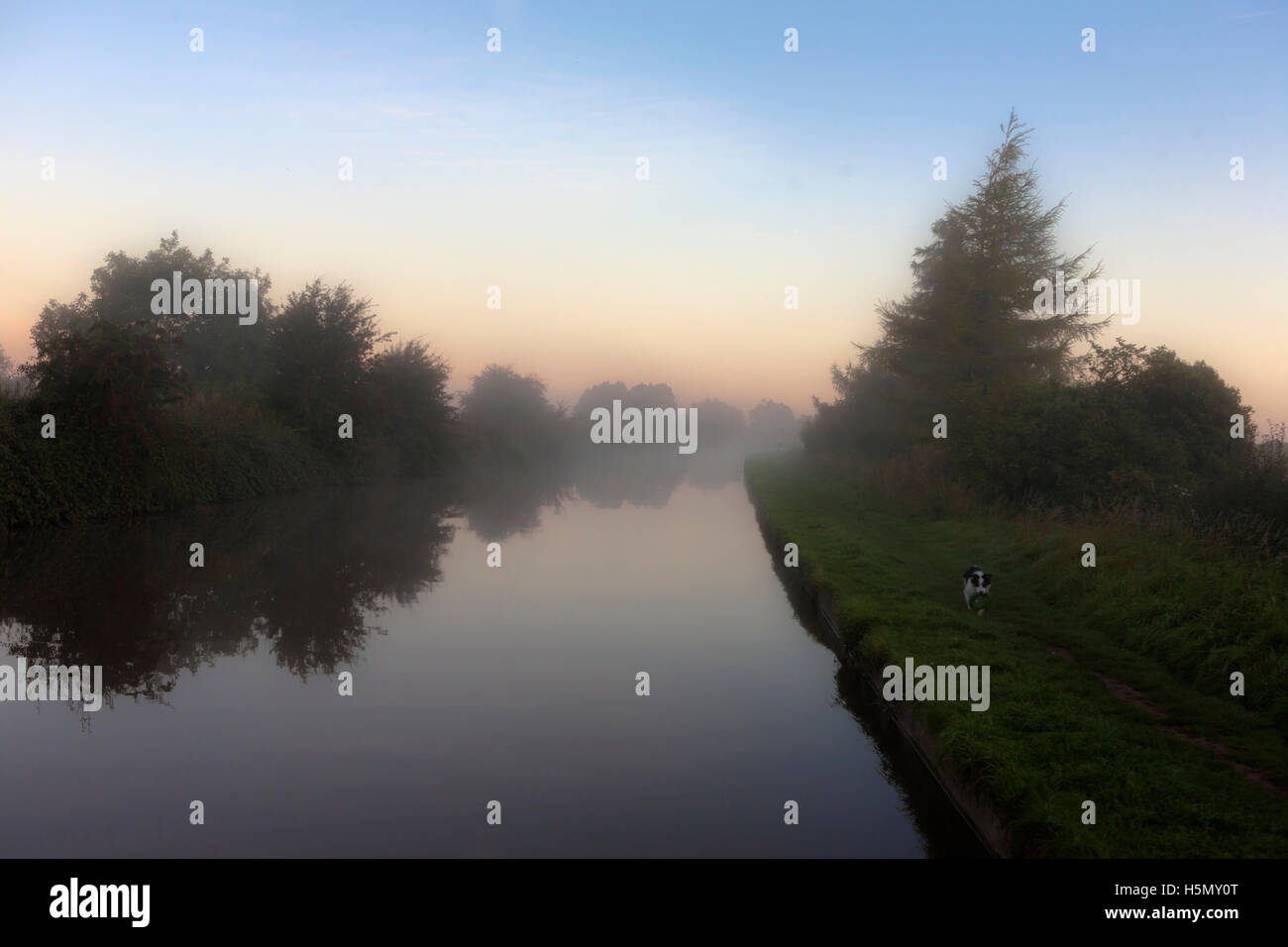 Dawn mist near Moss Hall Winding Hole on the Shropshire Union Canal, Audlem, Cheshire, England Stock Photo