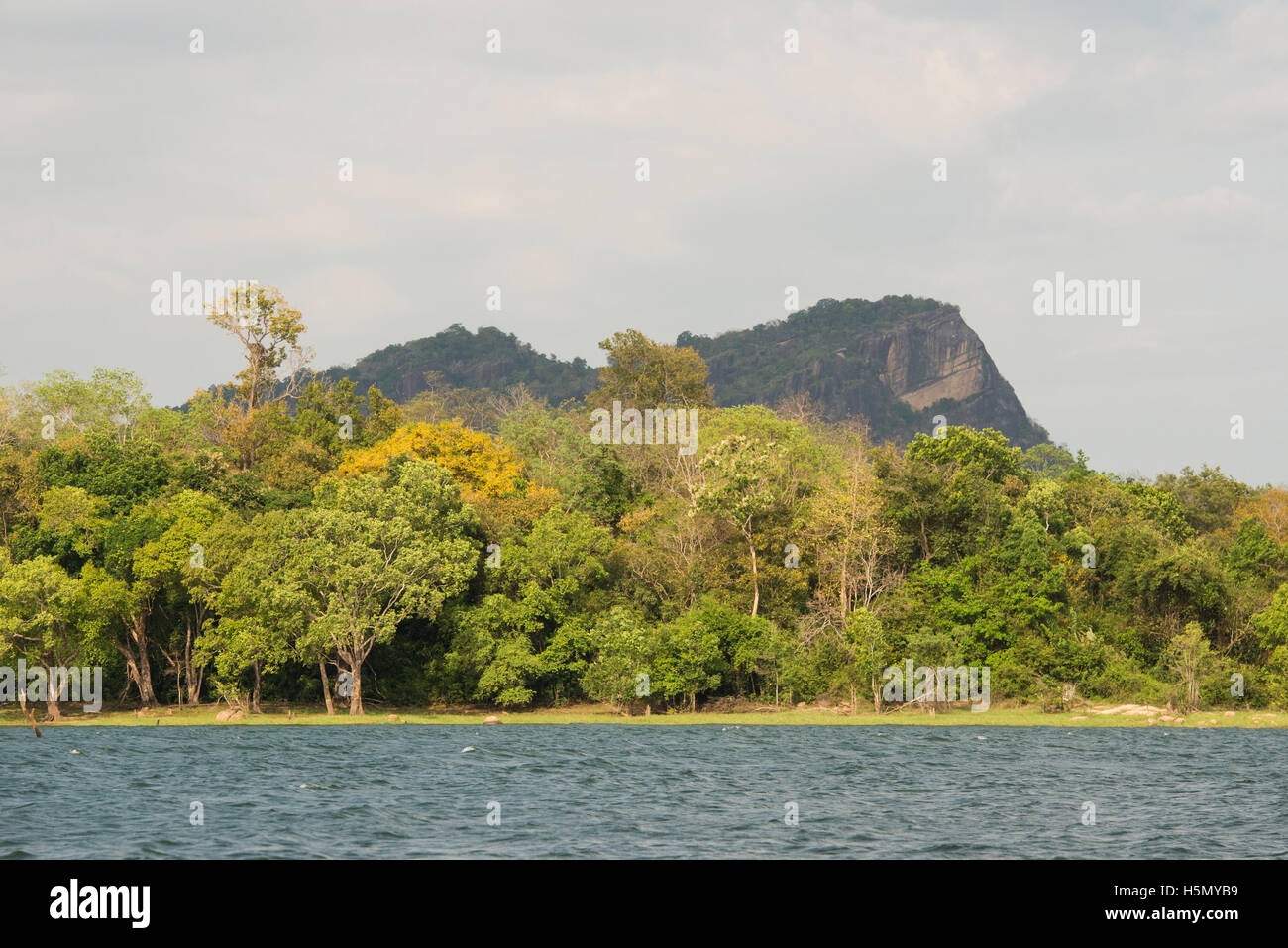 Senanayake Samudra Reservoir, Gal Oya National Park, Sri Lanka Stock Photo