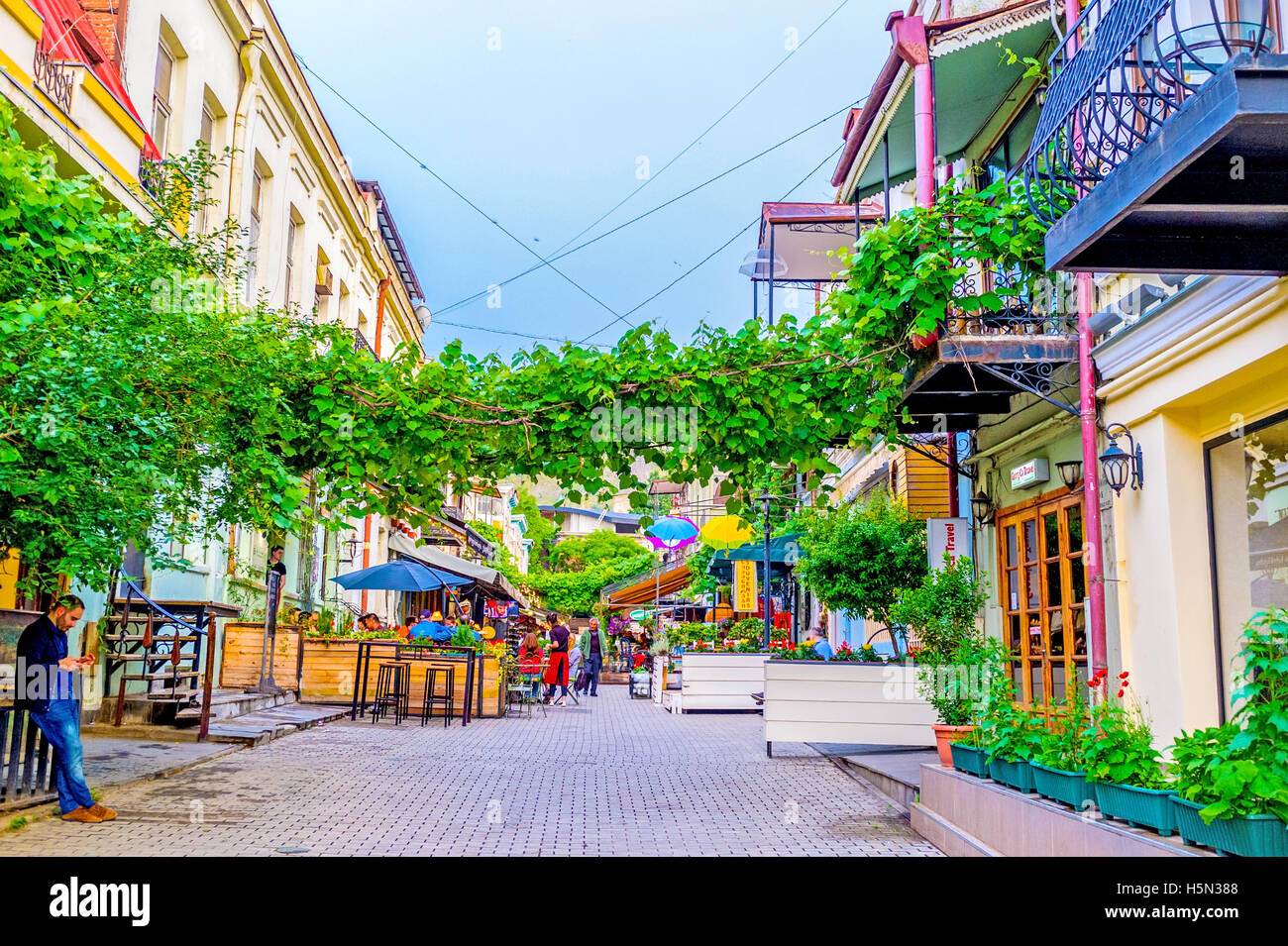 The cozy street, full of cafes and bars, decorated with the wild vines
