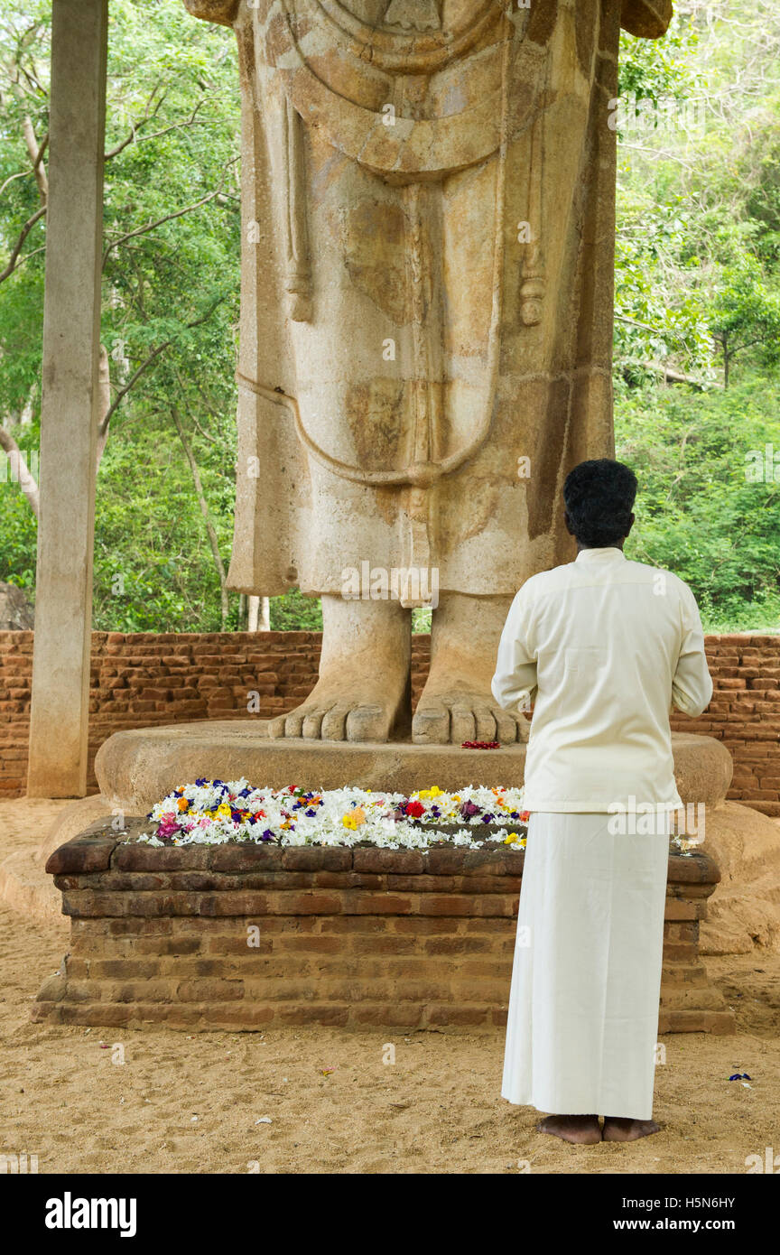 Pilgrim at the God Naatha statue (God Avalokitesvara), 10 meters high limestone statue, Maligawila, Sri Lanka Stock Photo