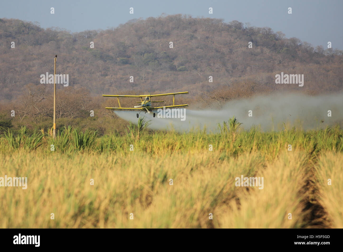 Aeroplane spraying pesticide over a rice plantation near Palo Verde National Park, Guanacaste, Costa Rica. Stock Photo