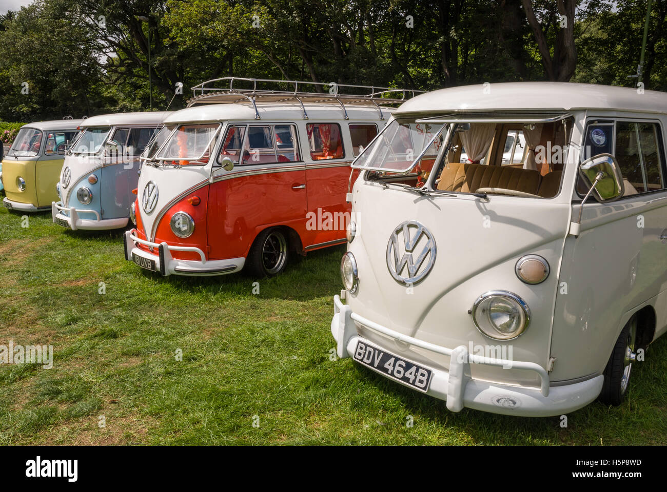 A line of split screen VW camper vans on show at Paignton Green with trees in the background Stock Photo