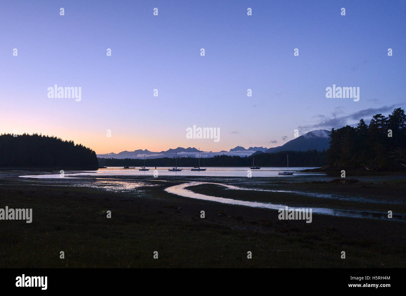 Sunset in Pacific Rim National, Park, Ucluelet, British Columbia Stock Photo