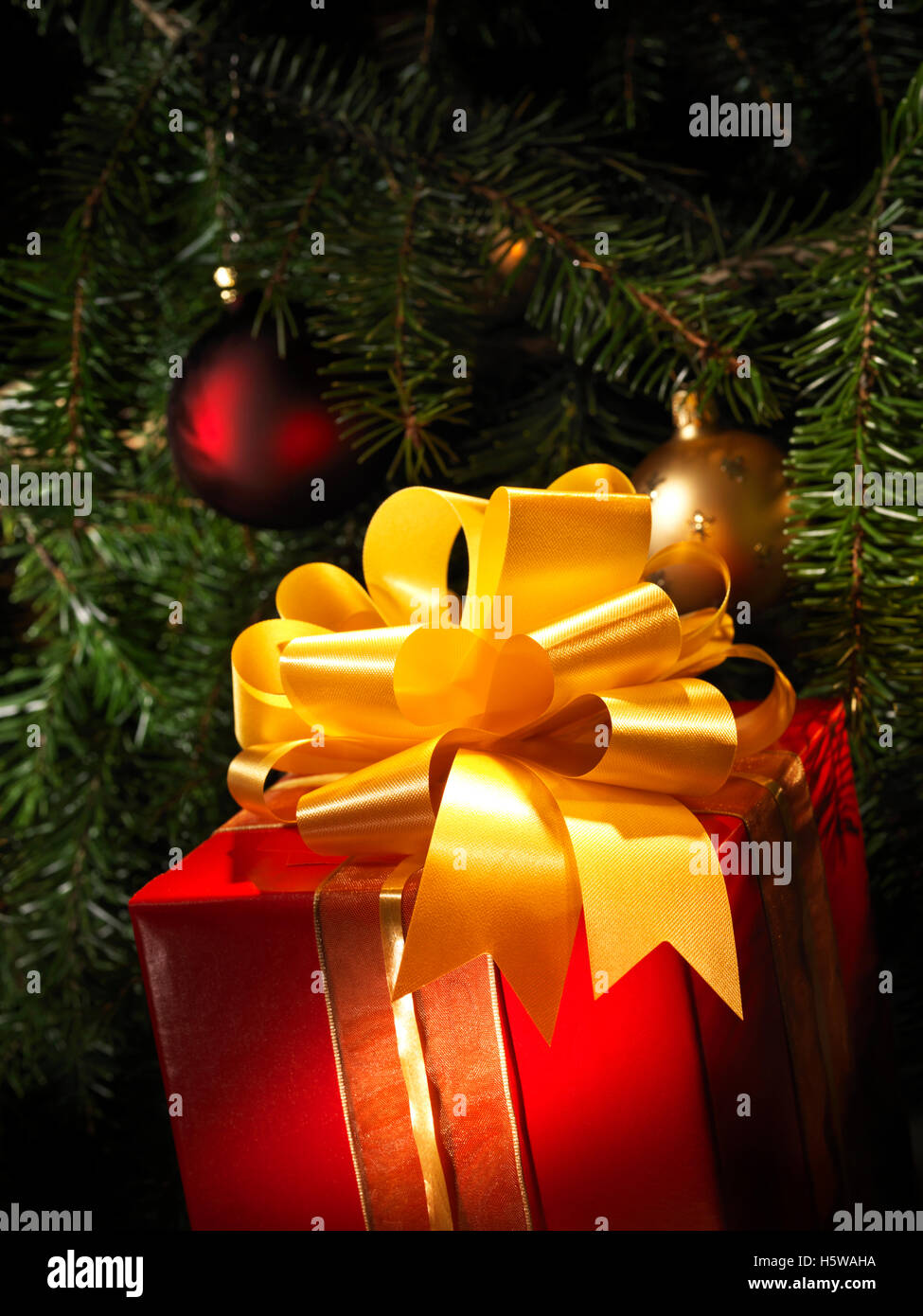 Christmas t with a tree in the background Stock Image