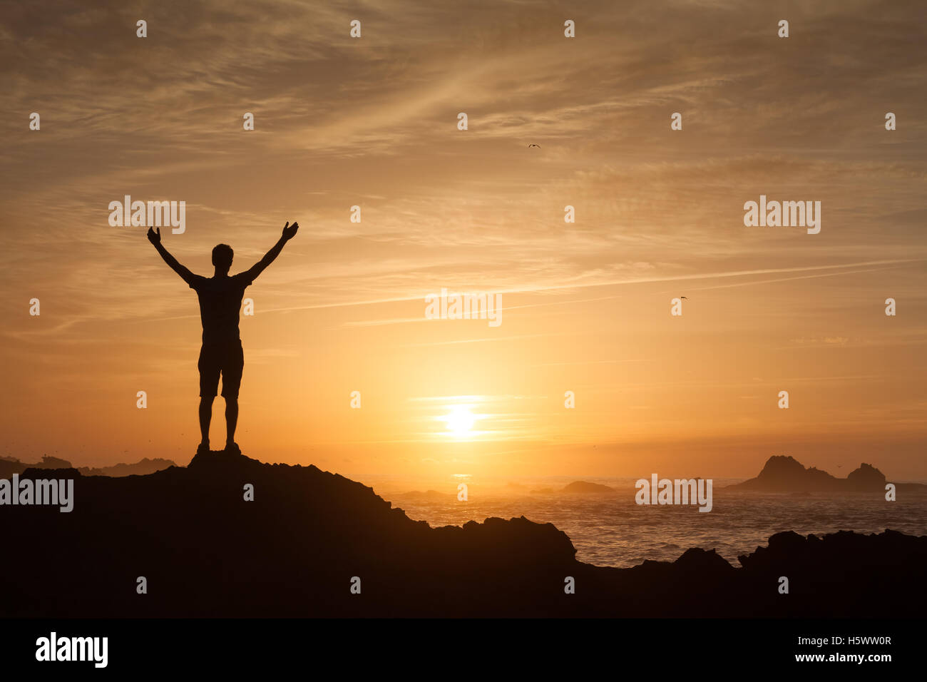 Young adult raising arms to the sea at sunset hands up Stock Photo