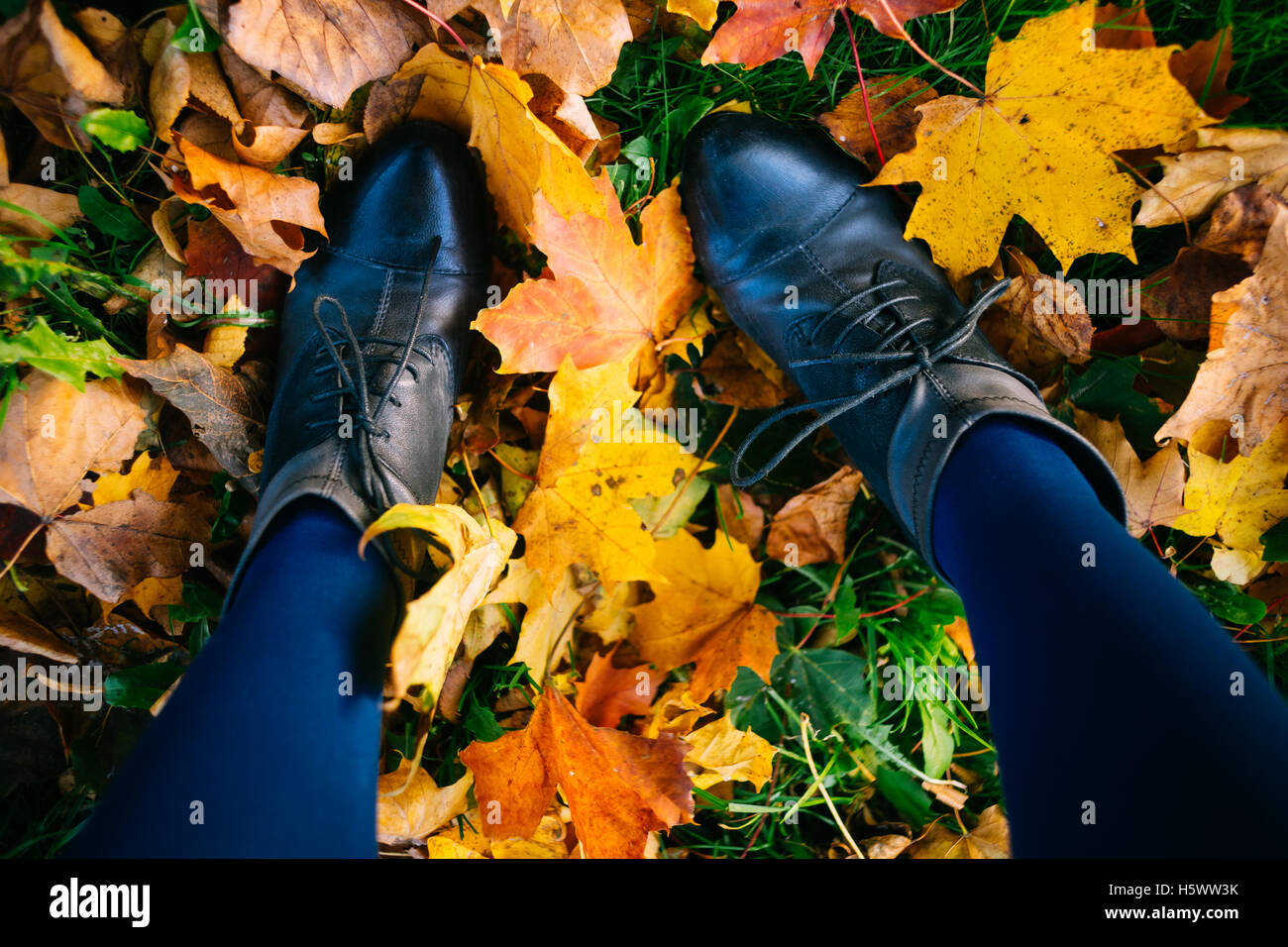 Young woman legs in boots and tights standing in fallen colorful leaves, unusual top view Stock Photo