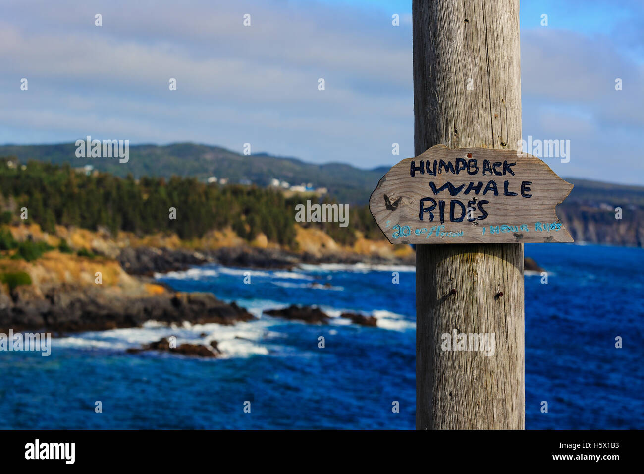A sign for a fake yet humorous humpback whale ride tour found along the rugged Newfoundland coastline. Stock Photo