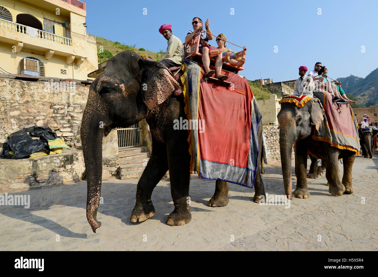 Decorated Elephant with their rider carrying passenger at Amer fort in Jaipur,Rajasthan,India Stock Photo