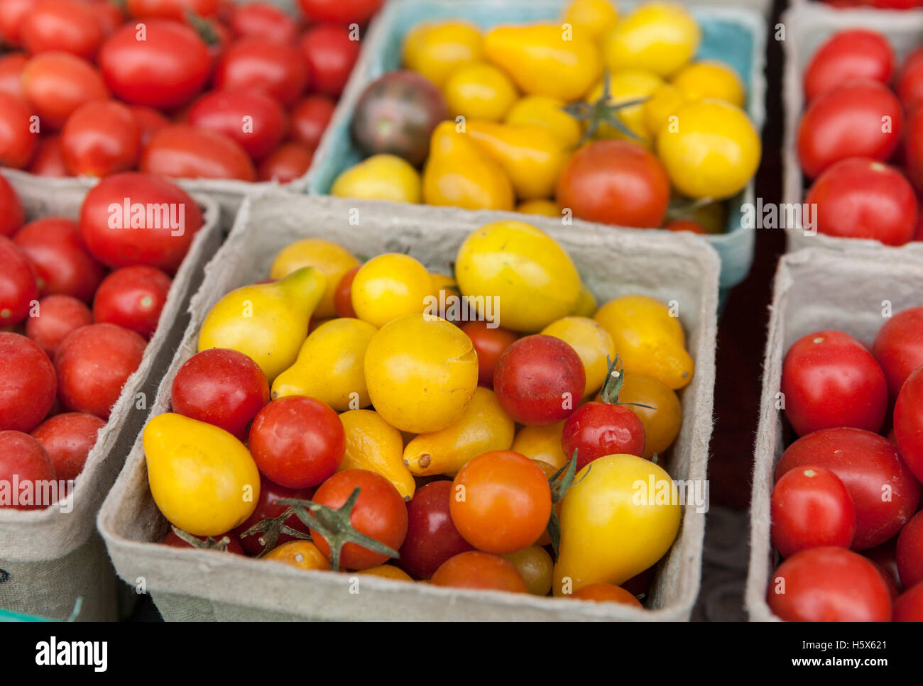 Containers of red and yellow cherry tomatoes on display Stock Photo - Alamy