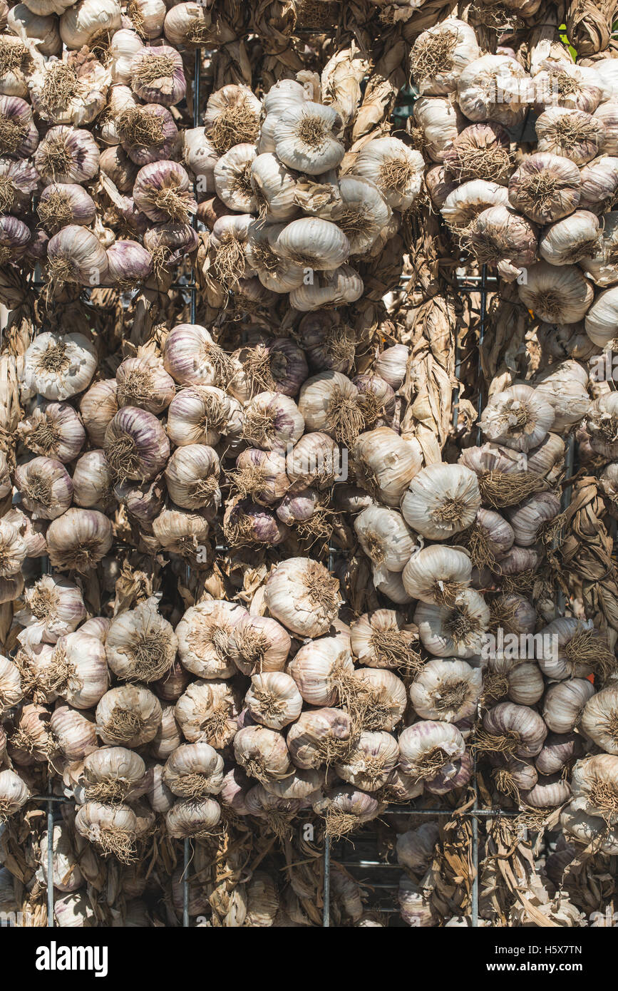 Braided dry garlic on the market in France. Close up Stock Photo