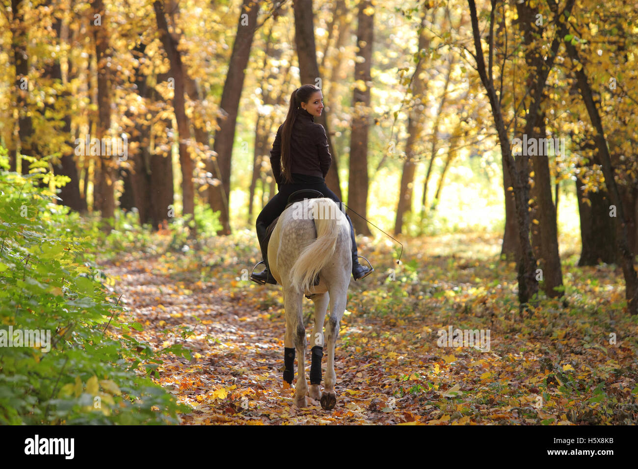 Beautiful young woman riding horse in autumn yellow park Stock Photo