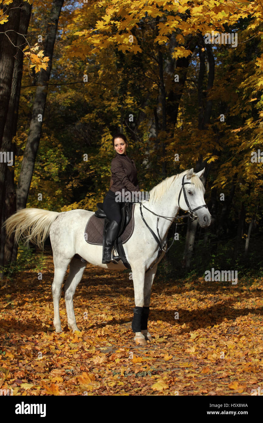 Young attractive woman riding her white arabian horse in the autumn forest Stock Photo