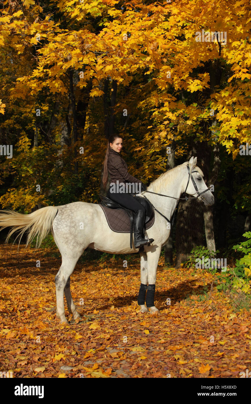 Young attractive woman riding her white arabian horse in the autumn forest Stock Photo