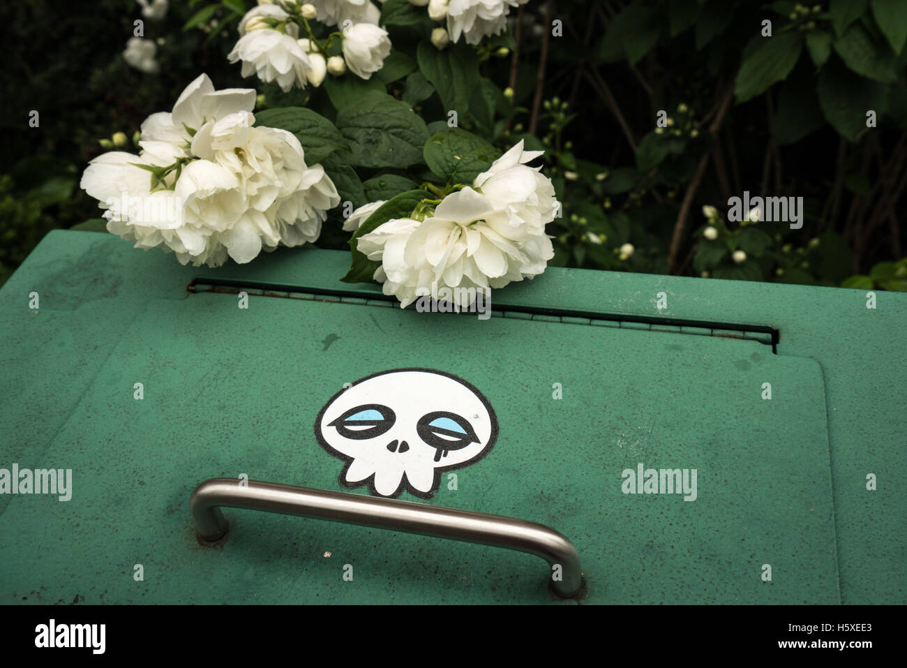 Litter bin with skull sticker with white roses in Chester Stock Photo