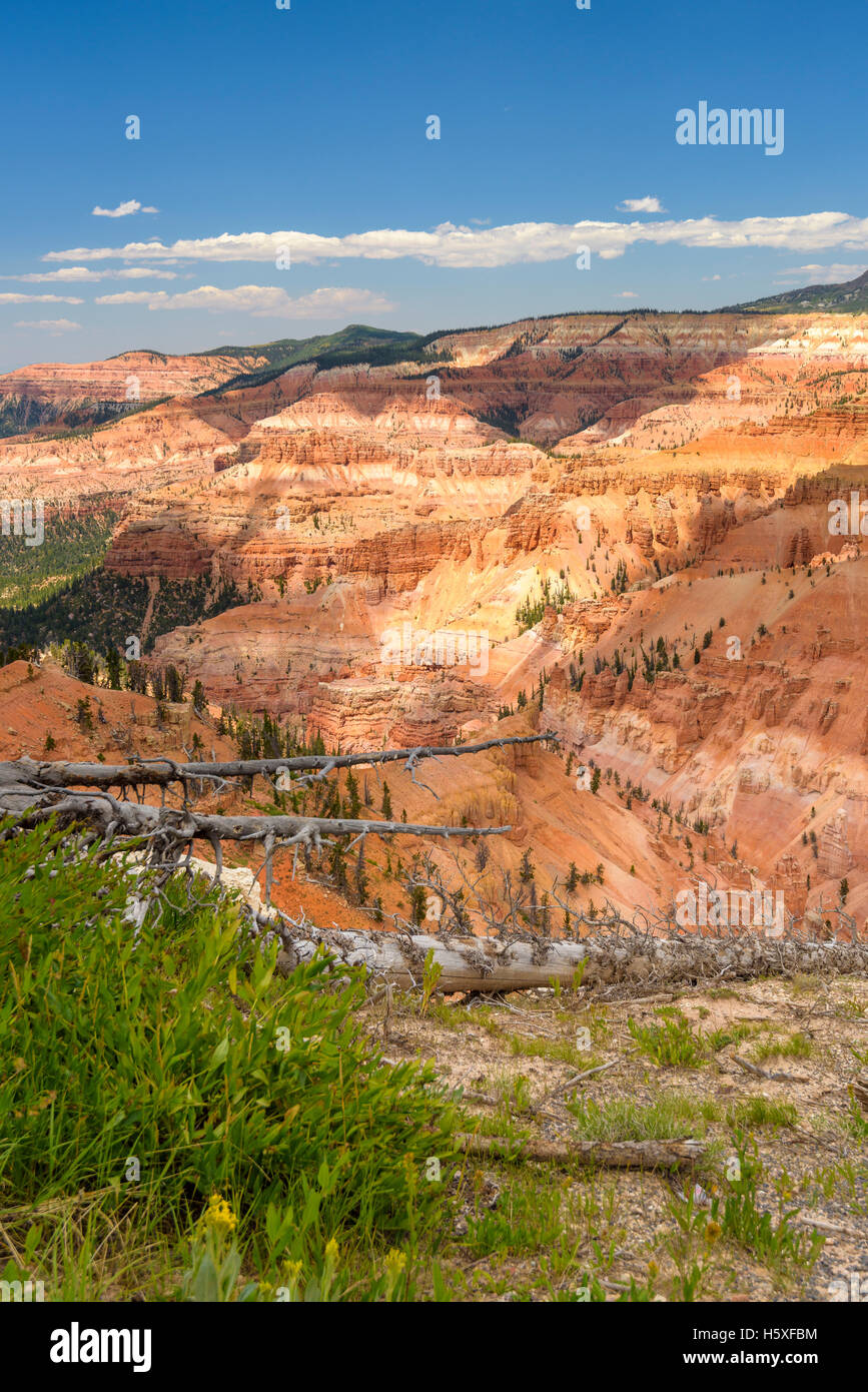 Cedar Breaks National Monument, Utah, sits at over 10,000 feet and looks down into a half-mile deep geologic amphitheater. Stock Photo
