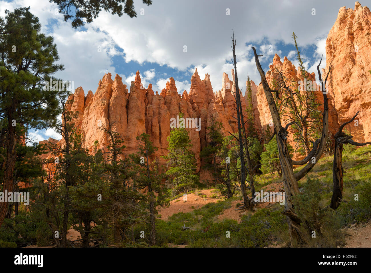 Scenic Views, Bryce Canyon National Park, located Utah, in the Southwestern United States. Stock Photo