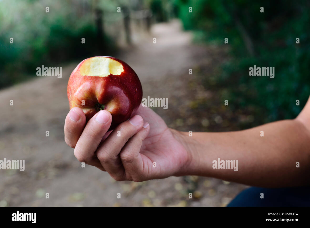 closeup of a young caucasian man eating a red apple outdoors, in a lush ...