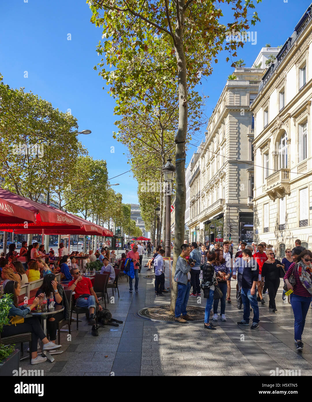 Street View Of Champselysees Avenue With Building Louis Vuitton In Paris  France Stock Photo - Download Image Now - iStock