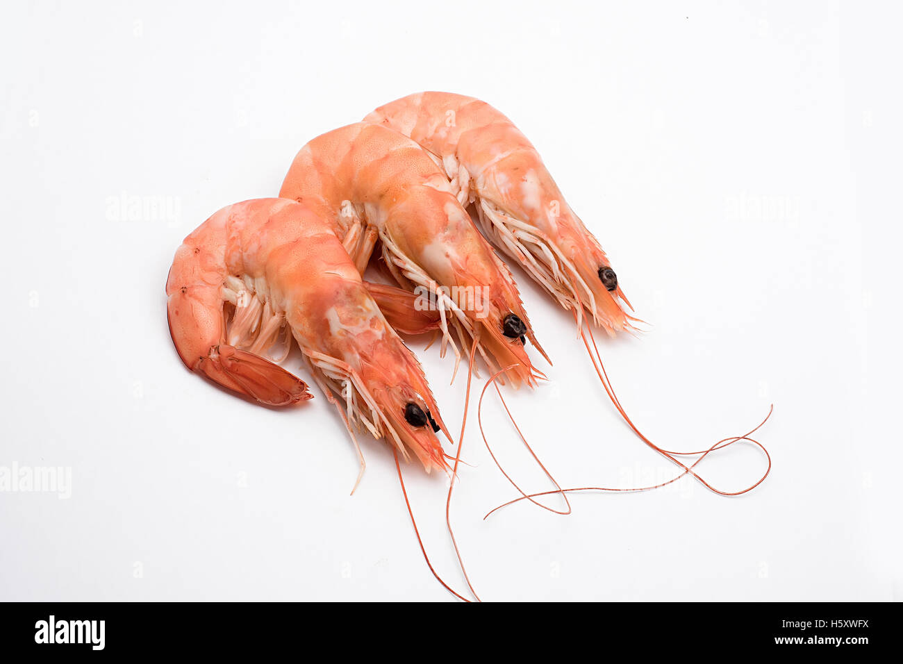 king prawns cooked isolated on white background Stock Photo Alamy