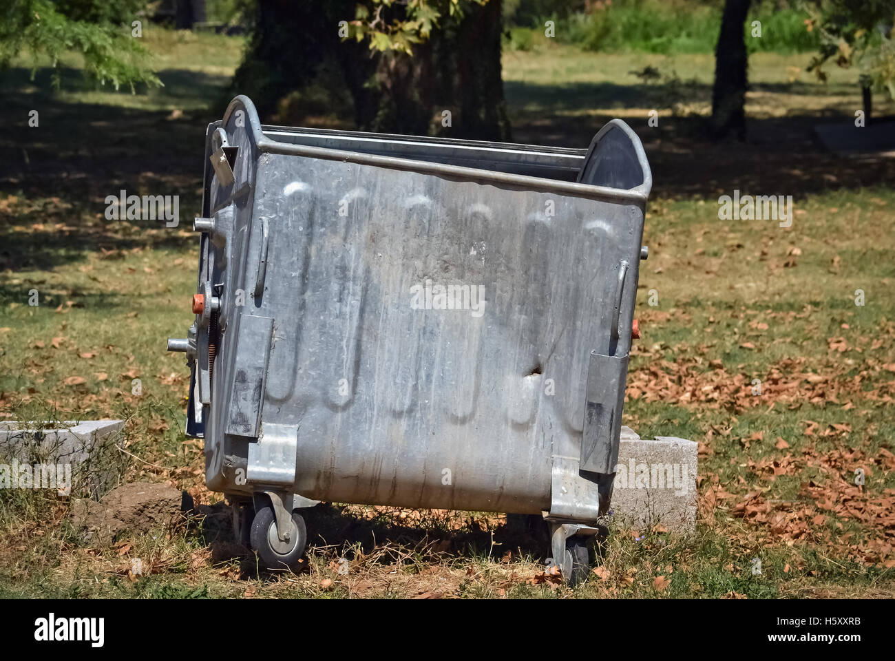 Metal dumpster on the street and trees in the background Stock Photo