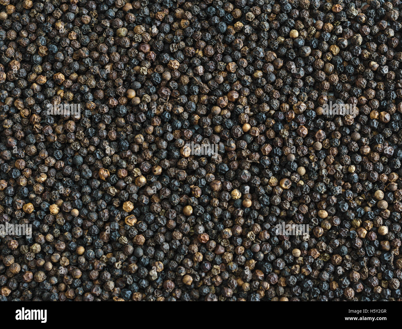 Timut Organic Black Pepper - 30g | 100% Natural Nepalese Berry Pepper