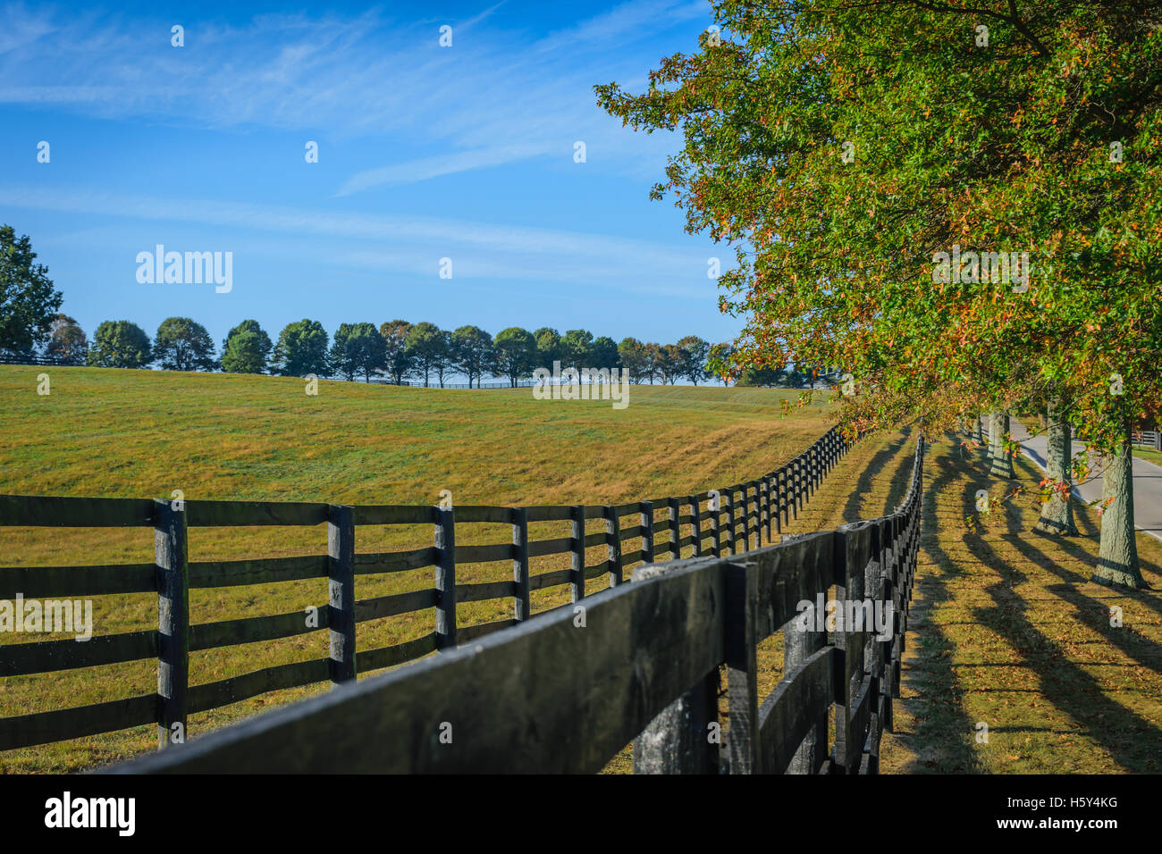 Double fenced, tree lined horse pasture in Fayette County Kentucky near Lexington. Stock Photo