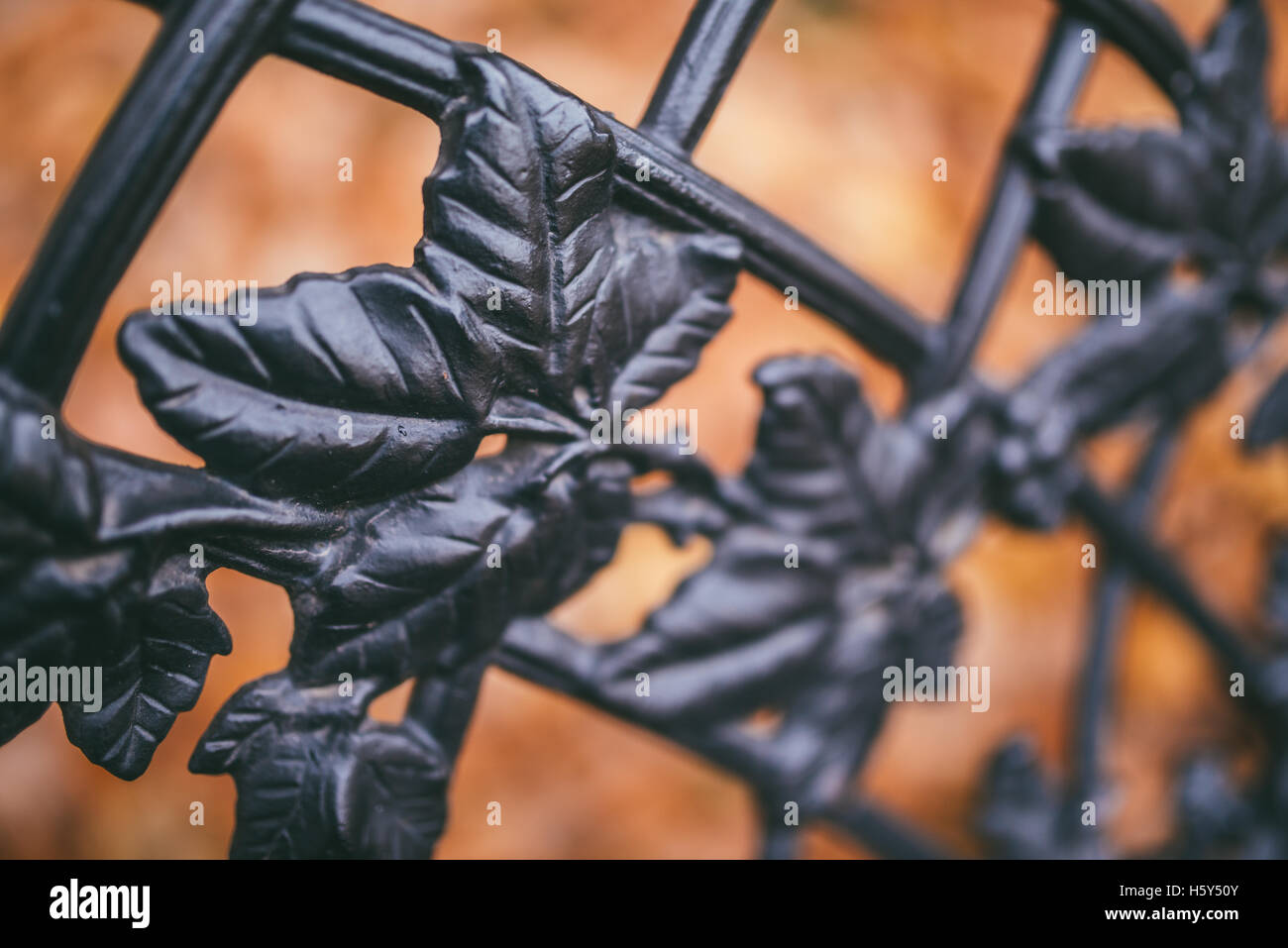 Image of a decorative cast iron fence and autumn orange leaves as background Stock Photo