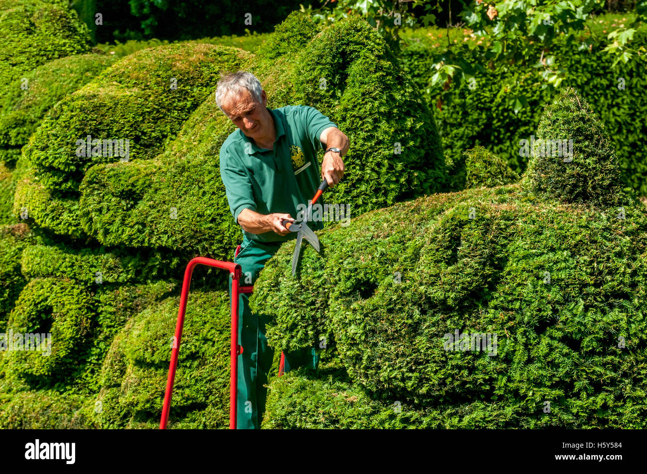 Head Gardener Chris Riley trims The Queen's Beasts, a topiary display of bushes at Hall Place in Bexley Stock Photo