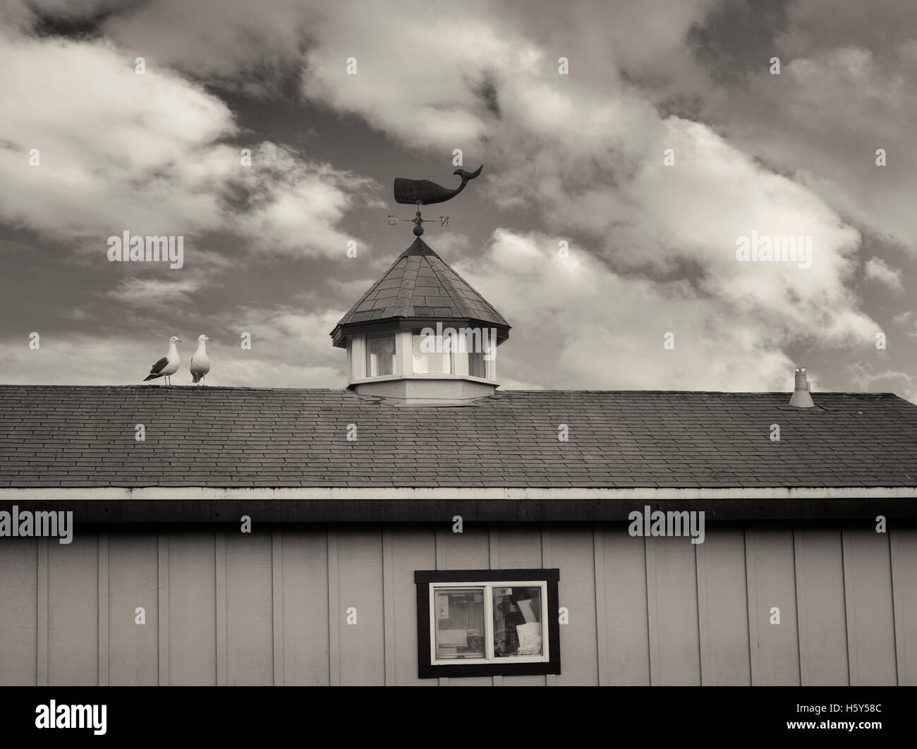 Seagulls on roof top with whale weather vain. Fisherman's Warf. Monterey, California Stock Photo