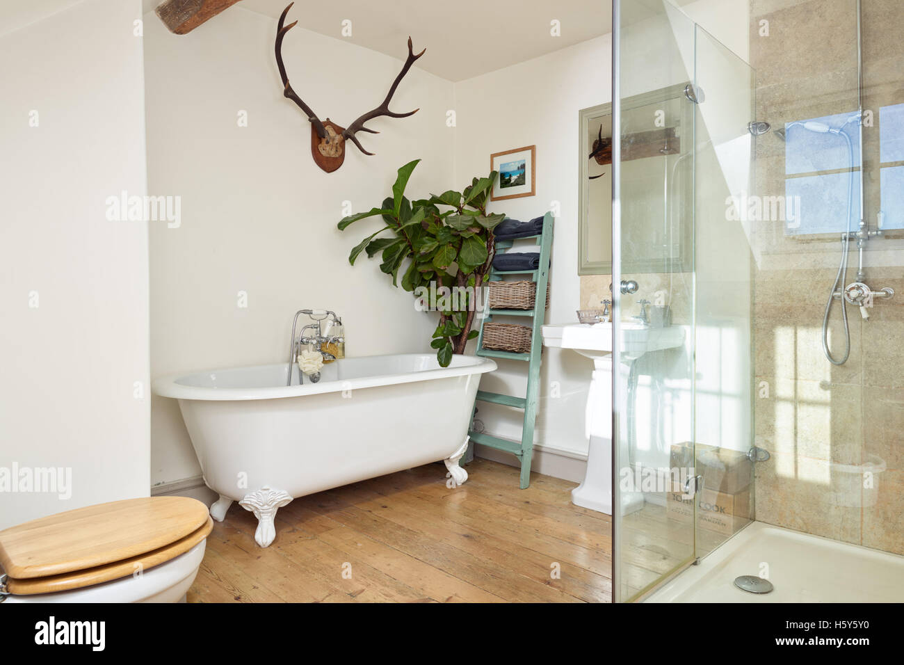 A modernised bathroom in a Victorian home, showing wood flooring, a freestanding bath & walk in shower Stock Photo