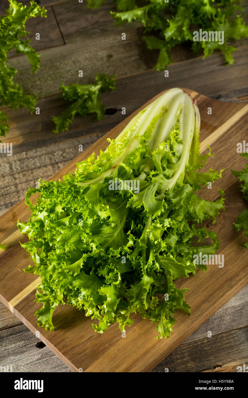 Raw Green Organic Endive Ready to Eat Stock Photo
