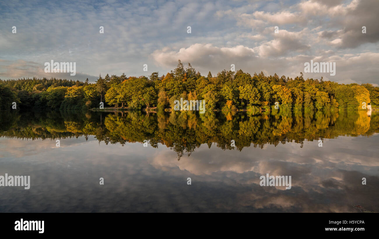 Shearwater Lake, Wiltshire, UK. 21st Oct, 2016. Shearwater, Longleat Estate. A glorious end to the day on this popular fishing and boating lake saw the setting sun illuminate the bank of trees surrounding the waterside. The Autumn is now in full swing as the deciduous trees reveal the deep hues of orange, red and yellows in the foliage. Credit:  Wayne Farrell/Alamy Live News Stock Photo