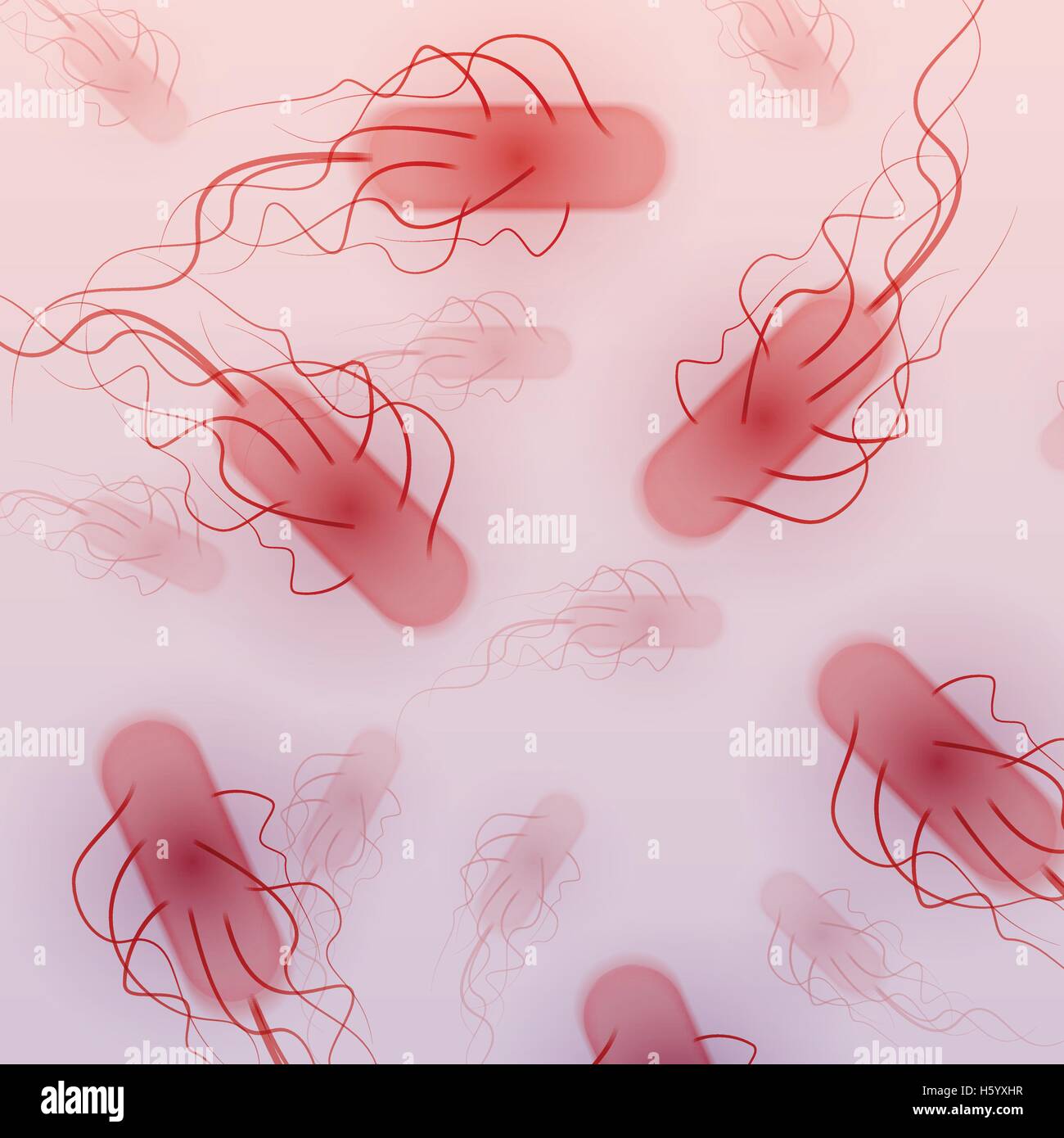 Group of E coli bacteria - Vector Illustration Stock Vector