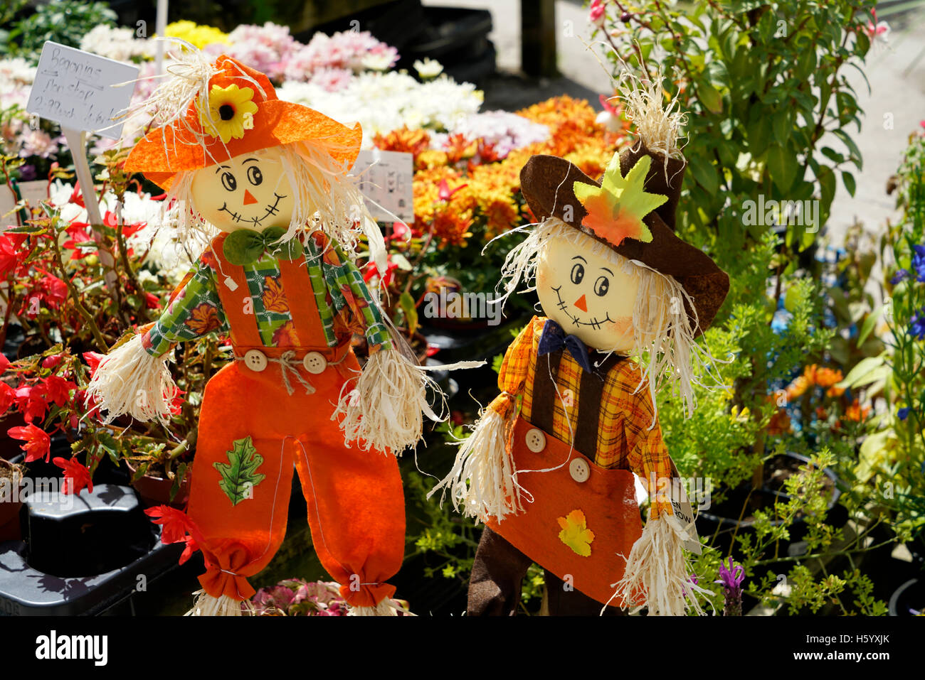 Corn dolly hires stock photography and images Alamy