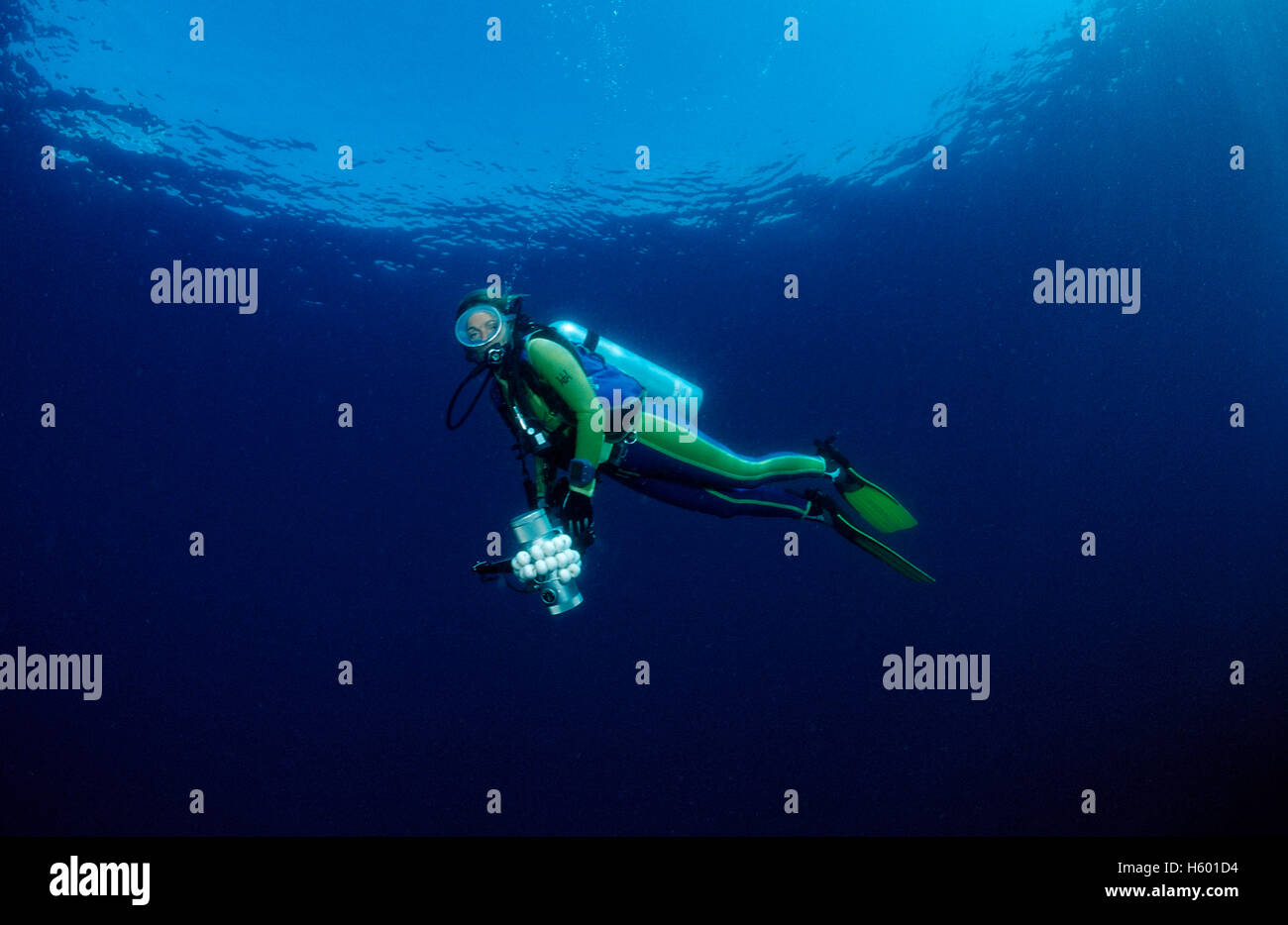 Diver diving with camera equipment, Bali, IndoPacific, Indonesia